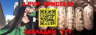 mdpv Кингисепп