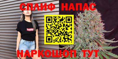 гашик Кинель