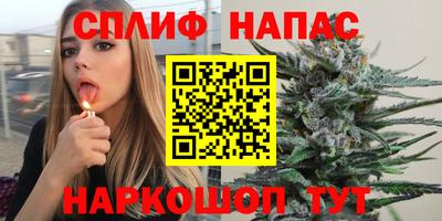 mdpv Кингисепп