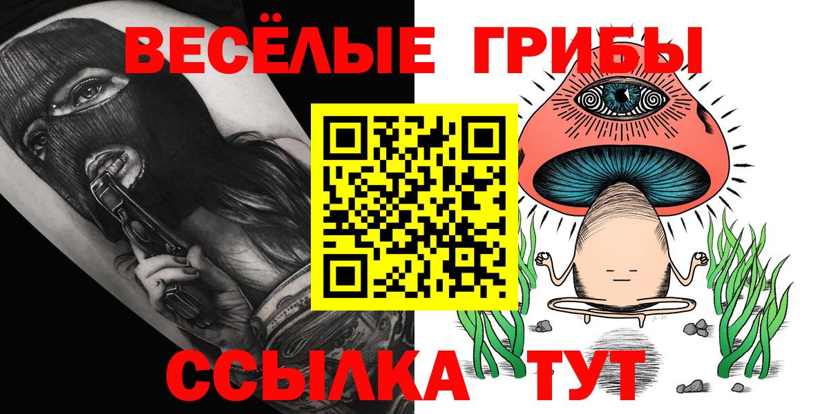 Галлюциногенные грибы Psilocybe  Вход с VPN  Псилоцибиновые грибы мухоморы  Кстово 
