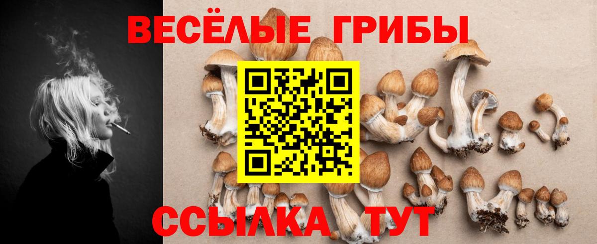 Галлюциногенные грибы мухоморы Кстово